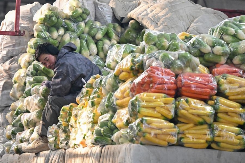 Le Xinjiang assure l'approvisionnement en légumes et en fruits malgré la vague de froid