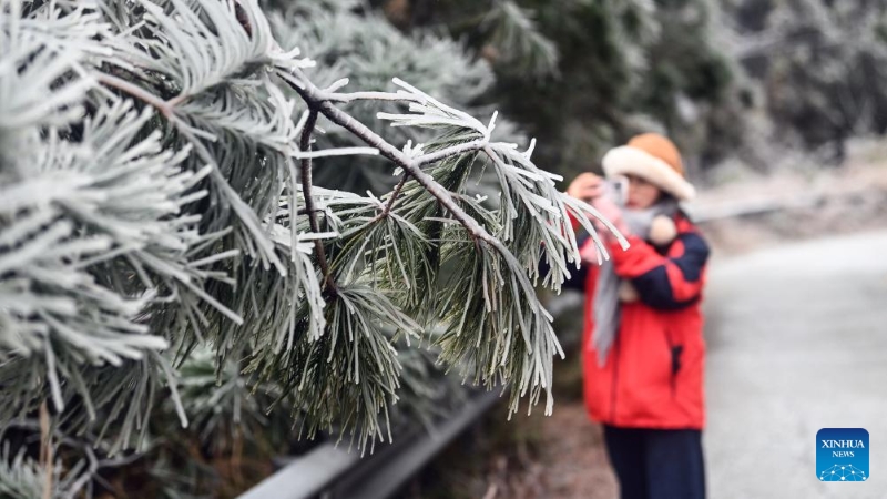 Guangxi : les paysages glacés du comté de Sanjiang attirent les visiteurs