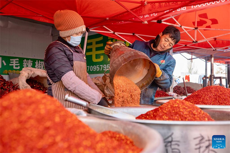 Ningxia : le marché de Jingui dans le comté de Helan