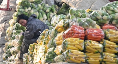 Le Xinjiang assure l'approvisionnement en légumes et en fruits malgré la vague de froid