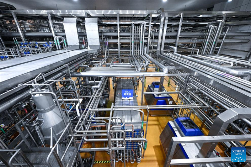 Ningxia : l'industrie laitière se développe à Wuzhong