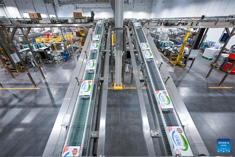 Ningxia : l'industrie laitière se développe à Wuzhong