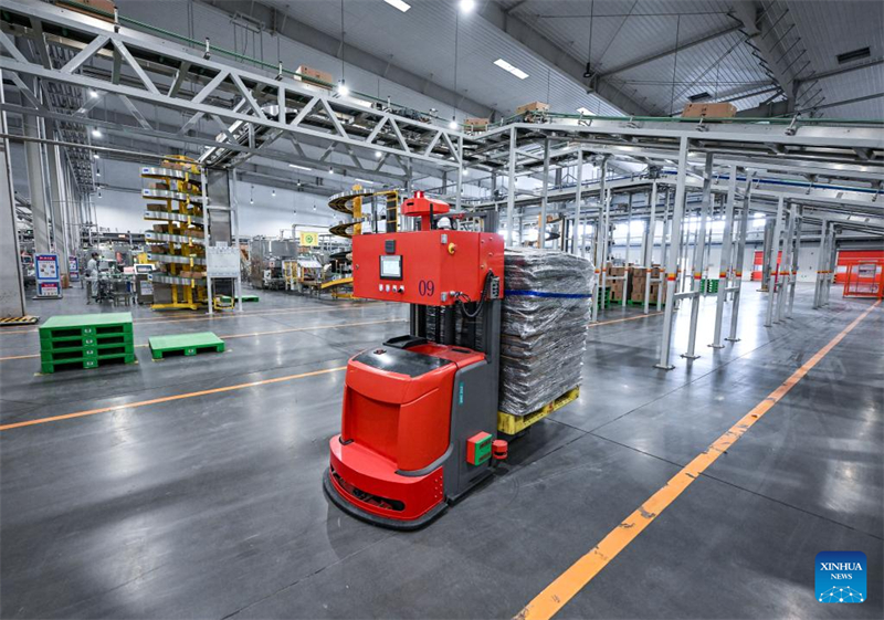 Ningxia : l'industrie laitière se développe à Wuzhong