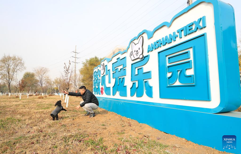 À l'approche de la Fête du Printemps, les services de gardiennage pour animaux de compagnie sont très demandés