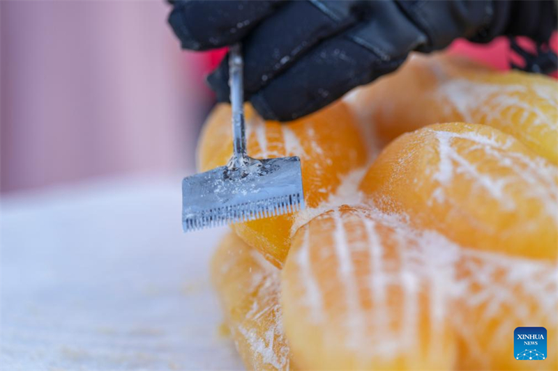 Heilongjiang : des sculptures de glace teintes par des plantes apportent de la couleur au Monde de Glace et de Neige de Harbin