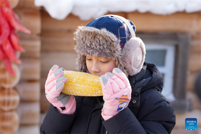 Heilongjiang : des sculptures de glace teintes par des plantes apportent de la couleur au Monde de Glace et de Neige de Harbin