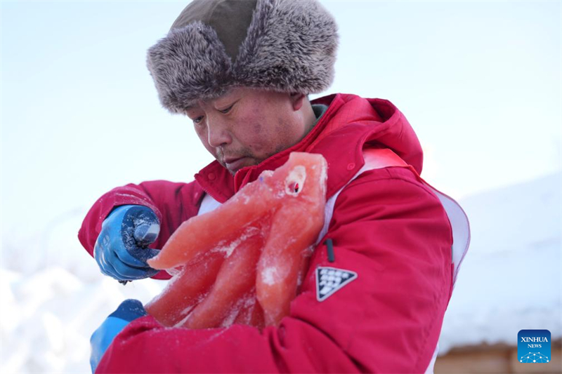 Heilongjiang : des sculptures de glace teintes par des plantes apportent de la couleur au Monde de Glace et de Neige de Harbin