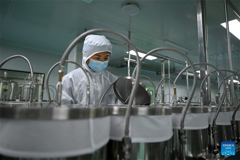 Henan : le comté de Puyang développe un système de production de café à chaîne industrielle complète