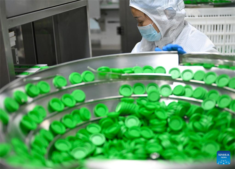 Henan : le comté de Puyang développe un système de production de café à chaîne industrielle complète