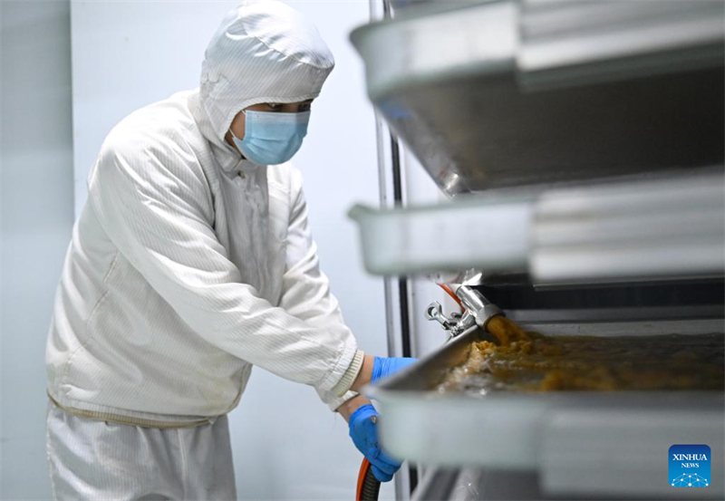 Henan : le comté de Puyang développe un système de production de café à chaîne industrielle complète