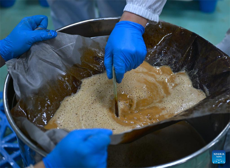 Henan : le comté de Puyang développe un système de production de café à chaîne industrielle complète