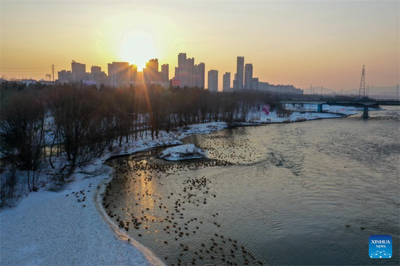 Jilin : histoire en photos de deux générations de gardiens d'oiseaux sur l'île de Changbai