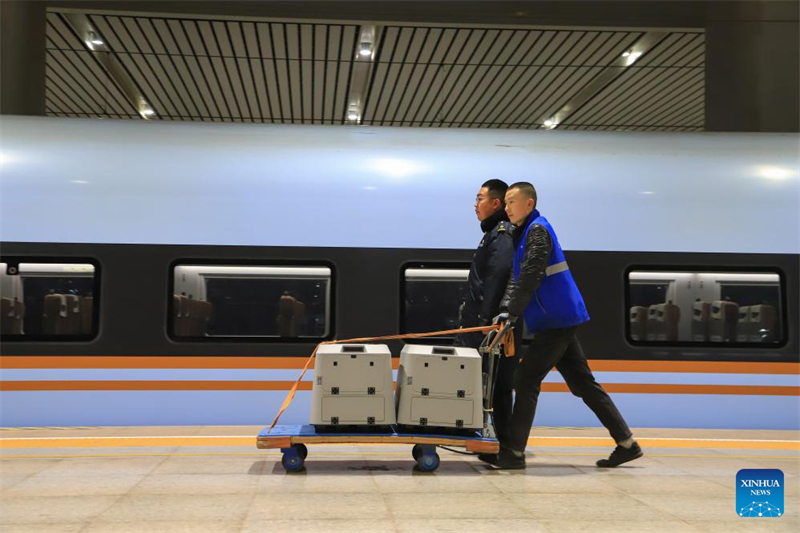 La Chine étend ses services de transport ferroviaire à grande vitesse d'animaux de compagnie pour les voyages de la Fête du Printemps