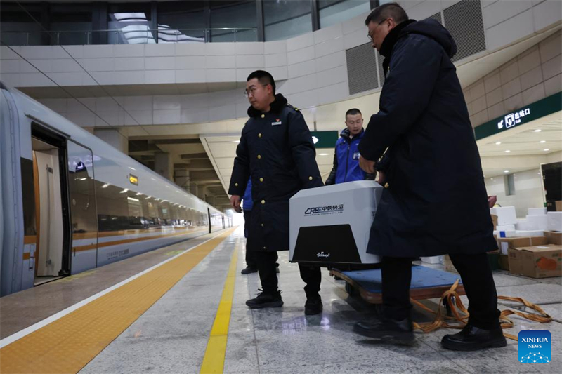 La Chine étend ses services de transport ferroviaire à grande vitesse d'animaux de compagnie pour les voyages de la Fête du Printemps