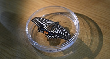 L'Université de Chongqing réalise de nouveaux progrès dans les expériences sur la vie spatiale