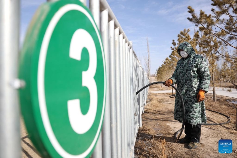 Gansu : la population de chevaux de Przewalski, une espèce en voie de disparition, augmente grâce aux efforts de protection