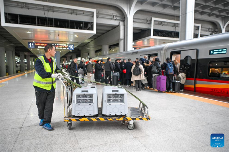 Chongqing lance un service pilote d'accueil d'animaux de compagnie sur les chemins de fer à grande vitesse