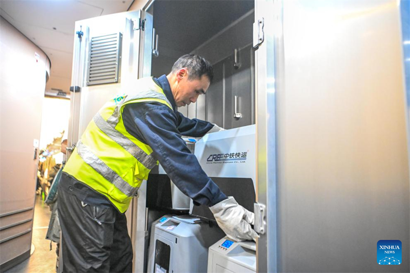 Chongqing lance un service pilote d'accueil d'animaux de compagnie sur les chemins de fer à grande vitesse