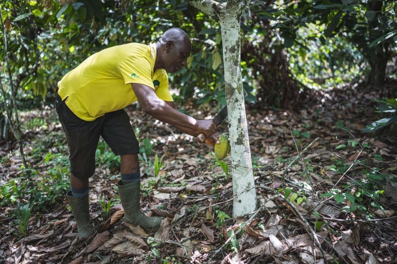 ZOOM AFRIQUE : malgré la prolongation de l'AGOA, l'incertitude politique assombrit l'avenir du commerce entre les Etats-Unis et l'Afrique