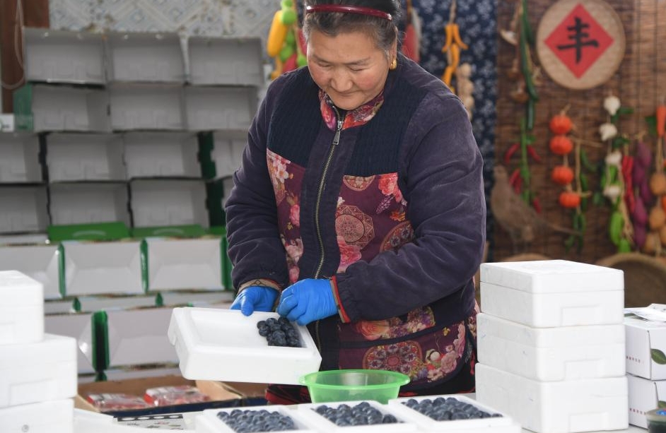 Beijing : le district de Pinggu stimule l'industrie de la myrtille via le commerce électronique et le tourisme