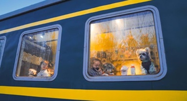 Comment les animaux de compagnie ont pris une part croissante dans les célébrations familiales du Nouvel An en Chine