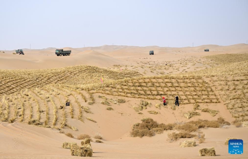 Mongolie intérieure : lancement d'un projet de prévention et de contrôle du sable dans la ligue d'Alxa