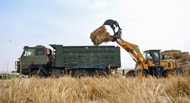 Mongolie intérieure : lancement d'un projet de prévention et de contrôle du sable dans la ligue d'Alxa