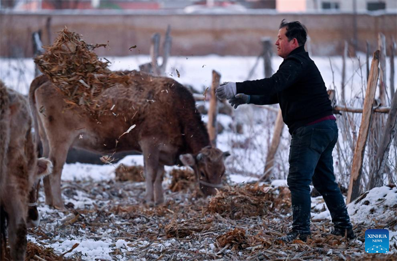 Xinjiang : un député à l'APN dédié à la revitalisation rurale