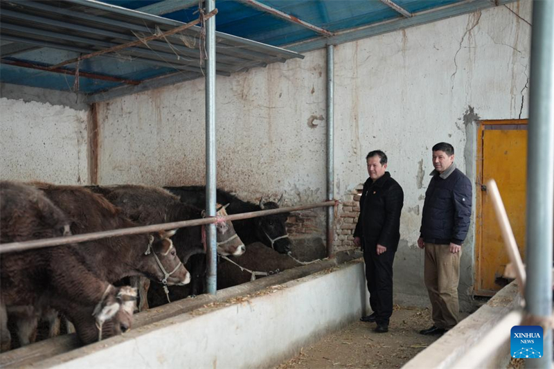 Xinjiang : un député à l'APN dédié à la revitalisation rurale