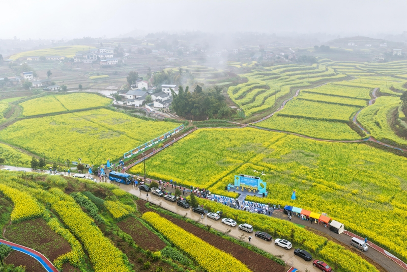 Les fleurs s'épanouissent sur des milliers de kilomètres… profitons ensemble du printemps en Chine