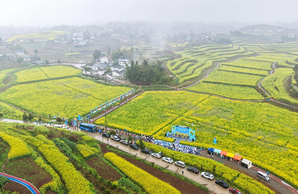 Les fleurs s'épanouissent sur des milliers de kilomètres… profitons ensemble du printemps en Chine