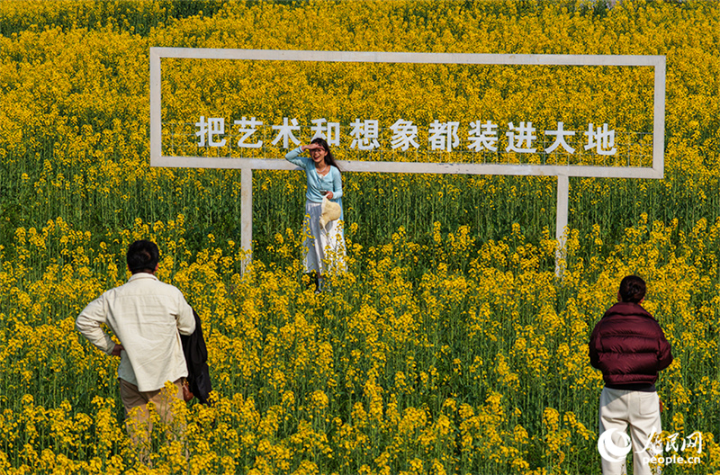 Jiangxi : à Nanchang, les fleurs de colza sont épanouies