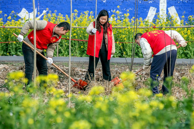 Activités de plantation d'arbres organisées dans toute la Chine