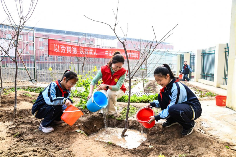 Activités de plantation d'arbres organisées dans toute la Chine