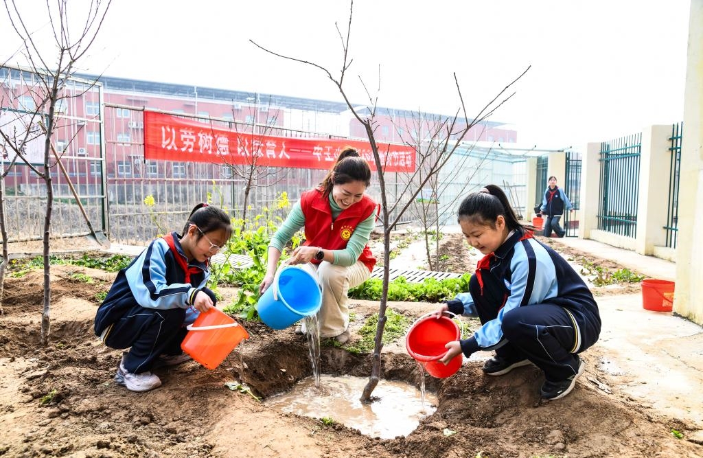 Activités de plantation d'arbres organisées dans toute la Chine