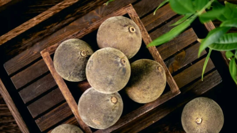 Comment la médiatisation du huajuhong lors des "Deux Sessions" a stimulé les ventes de ce fruit typique du Guangdong