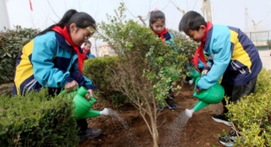 Activités de plantation d'arbres organisées dans toute la Chine
