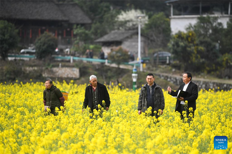 Comment un expert chinois du riz a apporté des rendements plus élevés aux agriculteurs nigérians