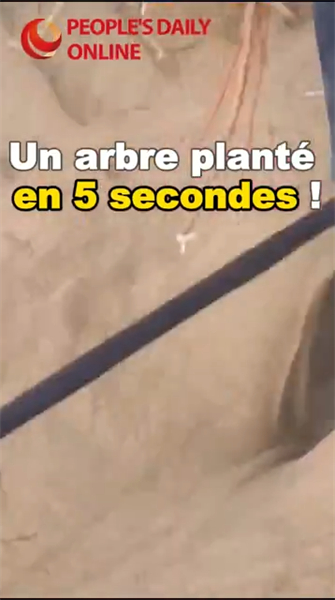 Xinjiang : un arbre planté en 5 secondes