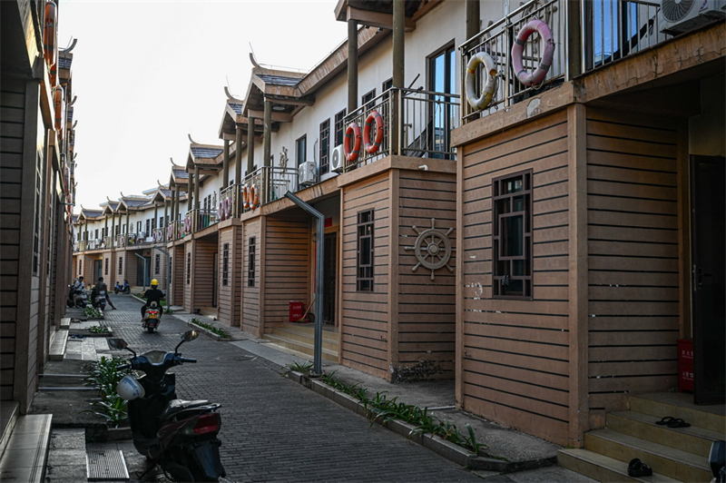 Hainan : une île stérile transformée en trésor vert après des années d'efforts de conservation