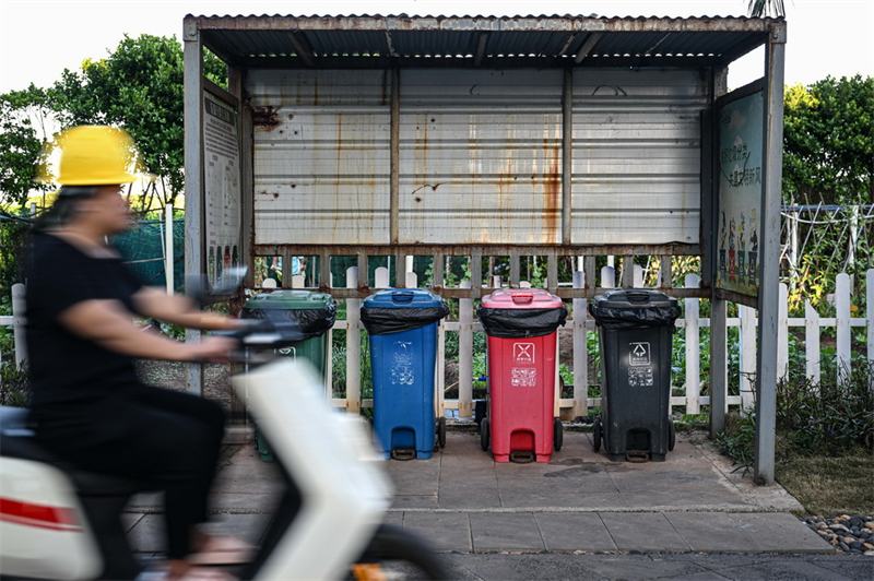 Hainan : une île stérile transformée en trésor vert après des années d'efforts de conservation