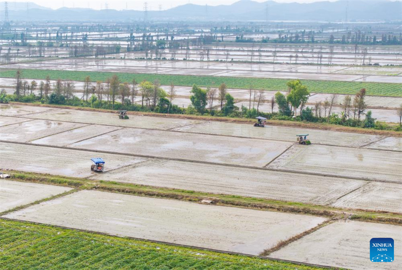 Guangdong : à Taishan, la technologie renforce la mécanisation du repiquage du riz