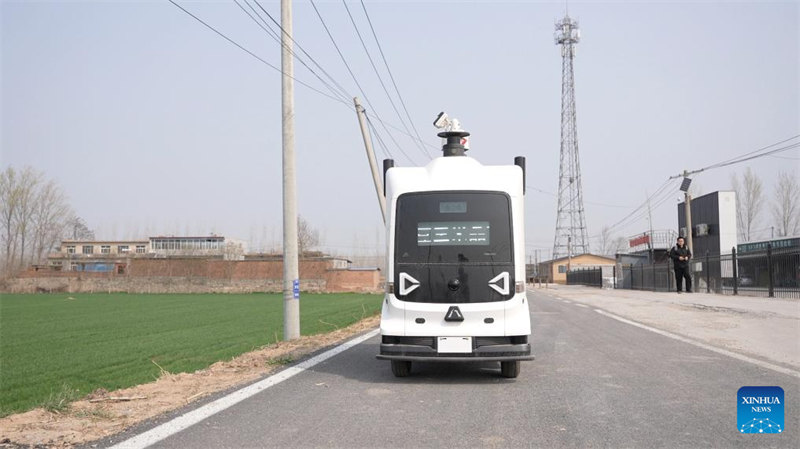 Photo prise le 24 mars 2026 montrant un robot patrouillant dans le champ de la ferme de Zhang Tong à Jinan, capitale de la province du Shandong (est de la Chine). (Wu Feizuo/Xinhua)