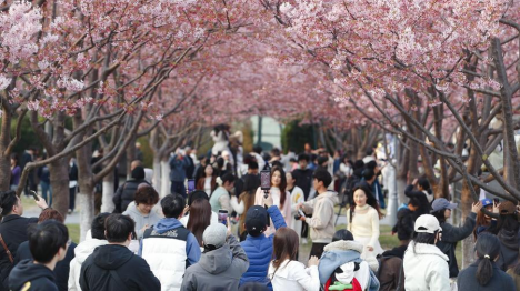 Le tourisme rural stimule "l'économie du printemps" en Chine