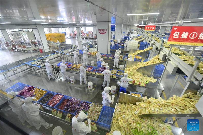 Guangxi : les Luosifen, spécialité traditionnelle de nouilles de riz, gagnent en popularité à Liuzhou