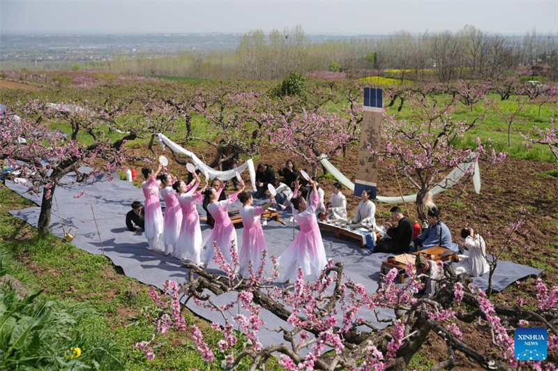 Une activité culturelle se tient parmi les fleurs de pêcher dans le district de Chang'an à Xi'an, capitale de la province du Shaanxi (nord-ouest de la Chine), le 31 mars 2026. (Shao Rui/Xinhua)