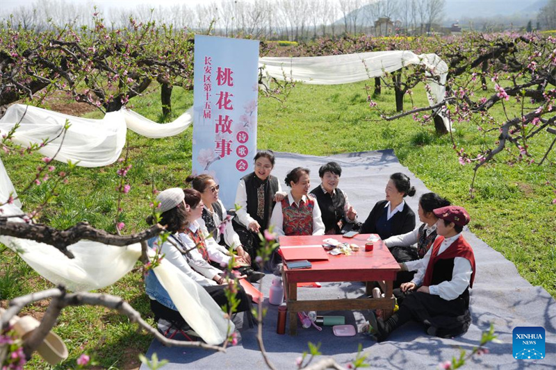 Shaanxi : des activités culturelles au milieu des fleurs de pêcher au pied des monts Zhongnan à Xi'an