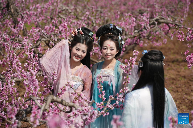 Shaanxi : des activités culturelles au milieu des fleurs de pêcher au pied des monts Zhongnan à Xi'an