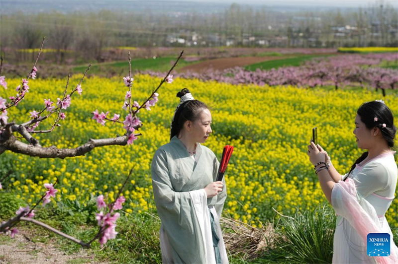 Shaanxi : des activités culturelles au milieu des fleurs de pêcher au pied des monts Zhongnan à Xi'an