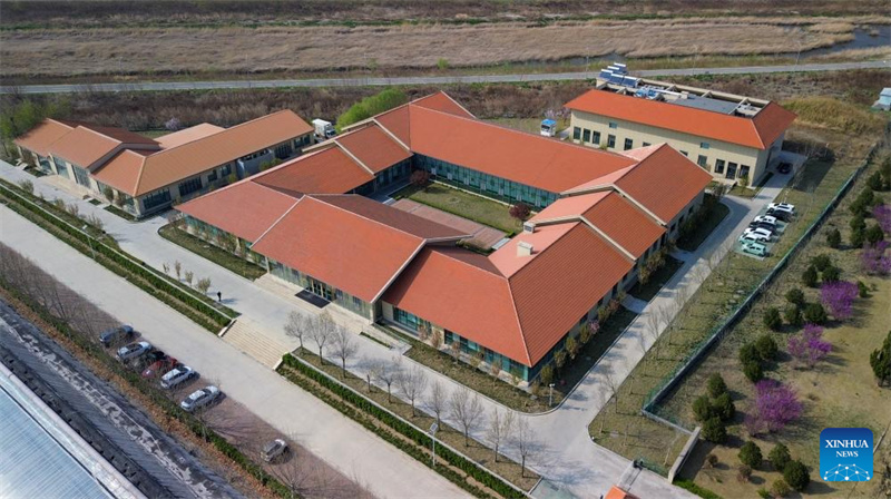 Shandong : le centre chinois de ressources génétiques de Shouguang rassemble plus de 26 000 espèces de semences de légumes